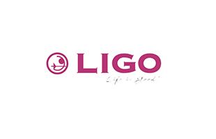 株式会社LIGO