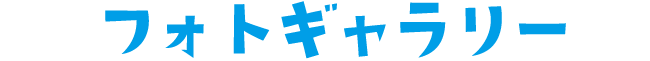 フォトギャラリー